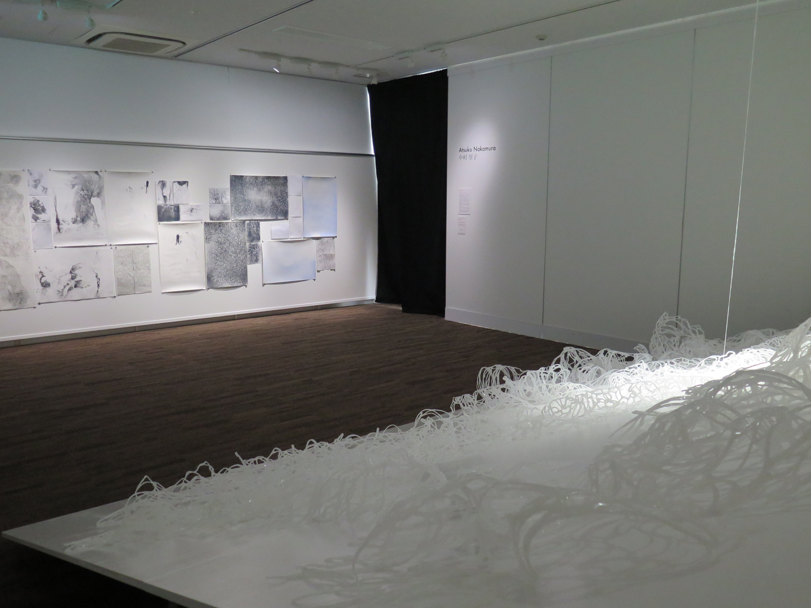 Surface to Depth Atsuko Nakamura