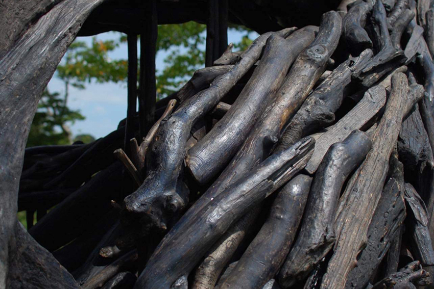 Digging is life life is digging