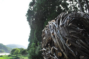 The Seed of the Earth